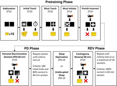 Image discrimination reversal learning is impaired by sleep deprivation in rats: Cognitive rigidity or fatigue?